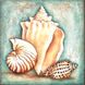 Алмазная живопись Морские раковины ТМ Алмазная мозаика (DM-214, Без подрамника) — фото комплектации набора