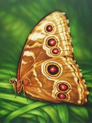 Картина з мозаїки Метелик монарх ТМ Алмазная мозаика (DMF-176) фото інтернет-магазину Raskraski.com.ua