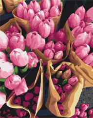 Живопис по номерам Голландські тюльпани (BS7520) (Без коробки)