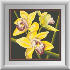 Алмазная вышивка Желтая орхидея (квадратные камни, полная зашивка) Dream Art (DA-30412, Без подрамника) фото интернет-магазина Raskraski.com.ua