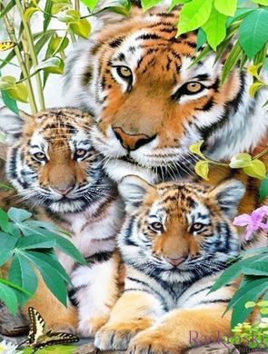 Набор алмазная вышивка Тигрица с тигрятами My Art (MRT-TN541, На подрамнике) фото интернет-магазина Raskraski.com.ua