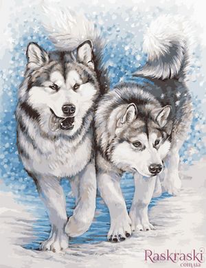 Розмальовка по номерах Північні собаки (AS0956) ArtStory фото інтернет-магазину Raskraski.com.ua
