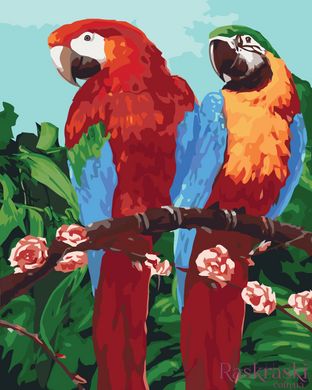 Картина по номерам Королевские попугаи (KHO4051) Идейка (Без коробки)