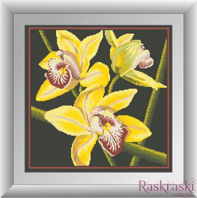 Алмазная вышивка Желтая орхидея (квадратные камни, полная зашивка) Dream Art (DA-30412, Без подрамника) фото интернет-магазина Raskraski.com.ua