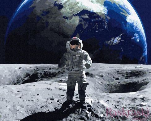 Картина за номерами На місяці (BRM35003) фото інтернет-магазину Raskraski.com.ua