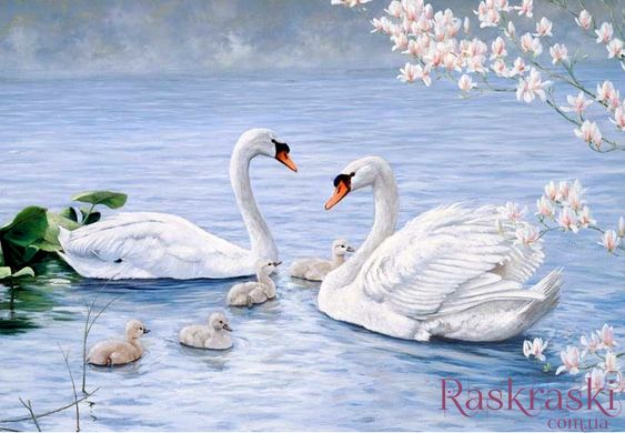 Набор алмазная вышивка Лебеди на пруду My Art (MRT-TN718, На подрамнике) фото интернет-магазина Raskraski.com.ua