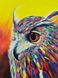 Набор алмазная мозаика Радужный птица (GA73112) Диамантовые ручки (GU_188620, На подрамнике) — фото комплектации набора