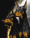 Картина за номерами Вірні добермани з фарбами металік extra ©art_selena_ua (KH6524) Ідейка — фото комплектації набору