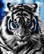 Картина по номерам Абстрактный тигр (BK-GX27984) (Без коробки)