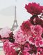 Картина за номерами Французькі квіти (AS0856) ArtStory — фото комплектації набору