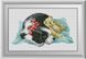 Алмазна мозаїка Сплячий щеня Dream Art (DA-30587) — фото комплектації набору