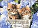Раскраска по номерам на дереве Котята в корзинке (ASW145) ArtStory — фото комплектации набора