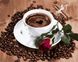 Картини за номерами Запрошення на каву (MR-Q2096) Mariposa — фото комплектації набору
