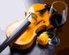 Раскраска для взрослых Бокал и скрипка (BRM27891) — фото комплектации набора