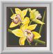 Алмазна вишивка Жовта орхідея (квадратні камені, повна зашивання) Dream Art (DA-30412) — фото комплектації набору