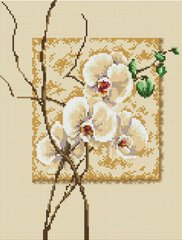 Набор алмазная мозаика Орхидеи ColorArt (CLR-PST404, На подрамнике) фото интернет-магазина Raskraski.com.ua