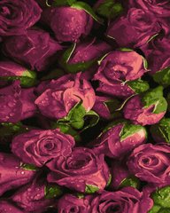 Картина Розмальовка Рожеві троянди (NIK-N452) фото інтернет-магазину Raskraski.com.ua