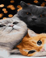 Раскраска по номерам Три кота (ATG00088) (Без коробки)