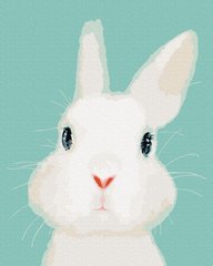 Картина по номерам Белый кролик (BK-G504) (Без коробки)