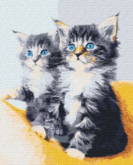 Картини за номерами Блакитноокі кошенята (ACR-B-11617-AC) ArtCraft фото інтернет-магазину Raskraski.com.ua