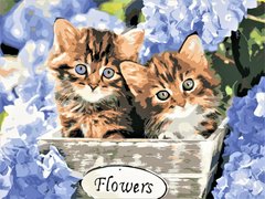 Картина за номерами Кошенята в кольорах (AS0597) ArtStory (Без коробки)