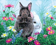 Картина по номерам Двое кроликов (BK-GX36237) (Без коробки)