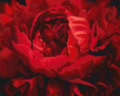 Картина раскраска Изысканный цветок (KHO3121) Идейка (Без коробки)
