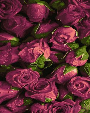 Картина раскраска Розовые розы (NIK-N452) фото интернет-магазина Raskraski.com.ua