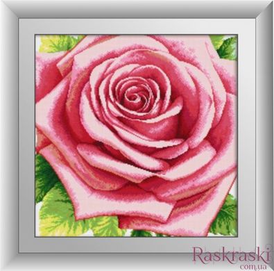 Алмазна техніка Рожева троянда Dream Art (DA-30360) фото інтернет-магазину Raskraski.com.ua