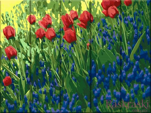 Картина по номерам Цветы в поле (ASW230) ArtStory фото интернет-магазина Raskraski.com.ua
