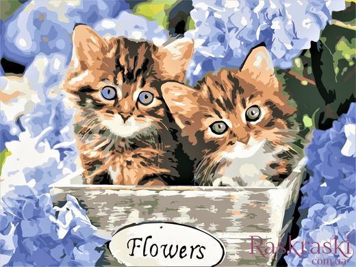 Картина по номерам Котята в цветах (AS0597) ArtStory (Без коробки)