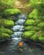 Картина по номерам Маленький водопад (BRM30093) — фото комплектации набора