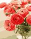 Картина за номерами Квіти для коханої (AS0678) ArtStory — фото комплектації набору