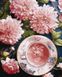 Рисунок по цифрам Розовые георгины ©art_selena_ua (KH5685) Идейка — фото комплектации набора