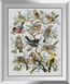 Набір алмазна вишивка Дерево птахів Dream Art (DA-31274) — фото комплектації набору