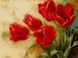 Картина за номерами Букет тюльпанів (VP536) Babylon — фото комплектації набору