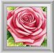 Алмазная техника Розовая роза Dream Art (DA-30360, Без подрамника) — фото комплектации набора