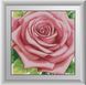 Алмазная техника Розовая роза Dream Art (DA-30360, Без подрамника) — фото комплектации набора