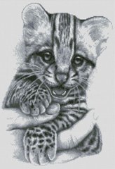Картина стразами Бенгальский котенок (37 х 51 см) Dream Art (DA-31673, Без подрамника) фото интернет-магазина Raskraski.com.ua