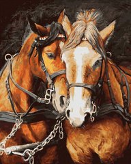 Картина по номерам Влюбленные кони (BK-GX29169) (Без коробки)