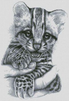 Картина зі страз Бенгальське кошеня (37 х 51 см) Dream Art (DA-31673) 37 х 51 см фото інтернет-магазину Raskraski.com.ua