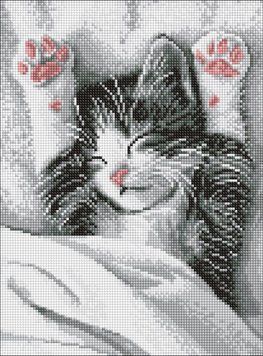 Набор алмазной вышивки Муркливое утро &copy;art_selena_ua Идейка (AMO20204, На подрамнике) 30 х 40 см фото интернет-магазина Raskraski.com.ua