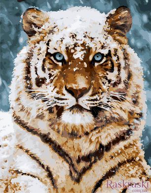 Живопись по номерам Усурийский тигр (KH4140) Идейка фото интернет-магазина Raskraski.com.ua