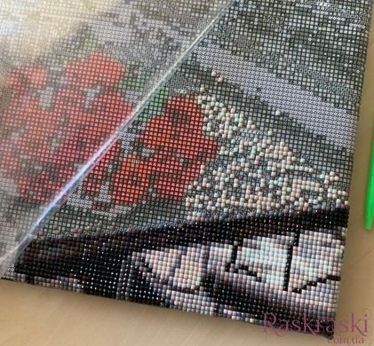 Набор алмазная мозаика Изящный цветочек Брашми (GF4803, На подрамнике) фото интернет-магазина Raskraski.com.ua