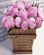 Картина за номерами Букет рожевих півоній (BRM36092) — фото комплектації набору
