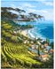 Картини за номерами Виноградники Італії (BRM4960) — фото комплектації набору