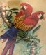 Картина из мозаики Пара попугаев (JA20517) Диамантовые ручки (GU_188155, Без подрамника) — фото комплектации набора