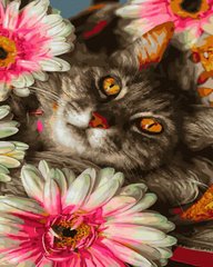 Картина за номерами Кіт у квітах (BK-GX45126) (Без коробки)