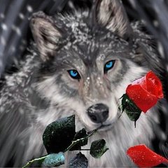 Картина з мозаїки Вовк з трояндою ТМ Алмазная мозаика (DMF-272) фото інтернет-магазину Raskraski.com.ua