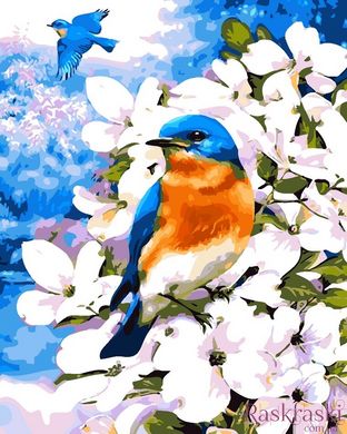 Картина за номерами Пташка на яблуневій гілці (AS0052) ArtStory фото інтернет-магазину Raskraski.com.ua